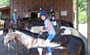 Whether a child, a new rider or a seasoned horse riding veteran, our staff will know exactly what horse is best suited for your needs. 